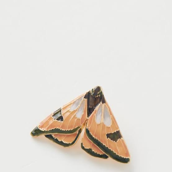 Enamel Moth Brooch